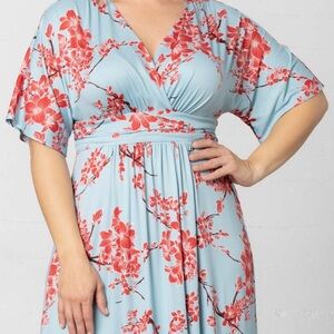 Kiyonna Vienna maxi dress